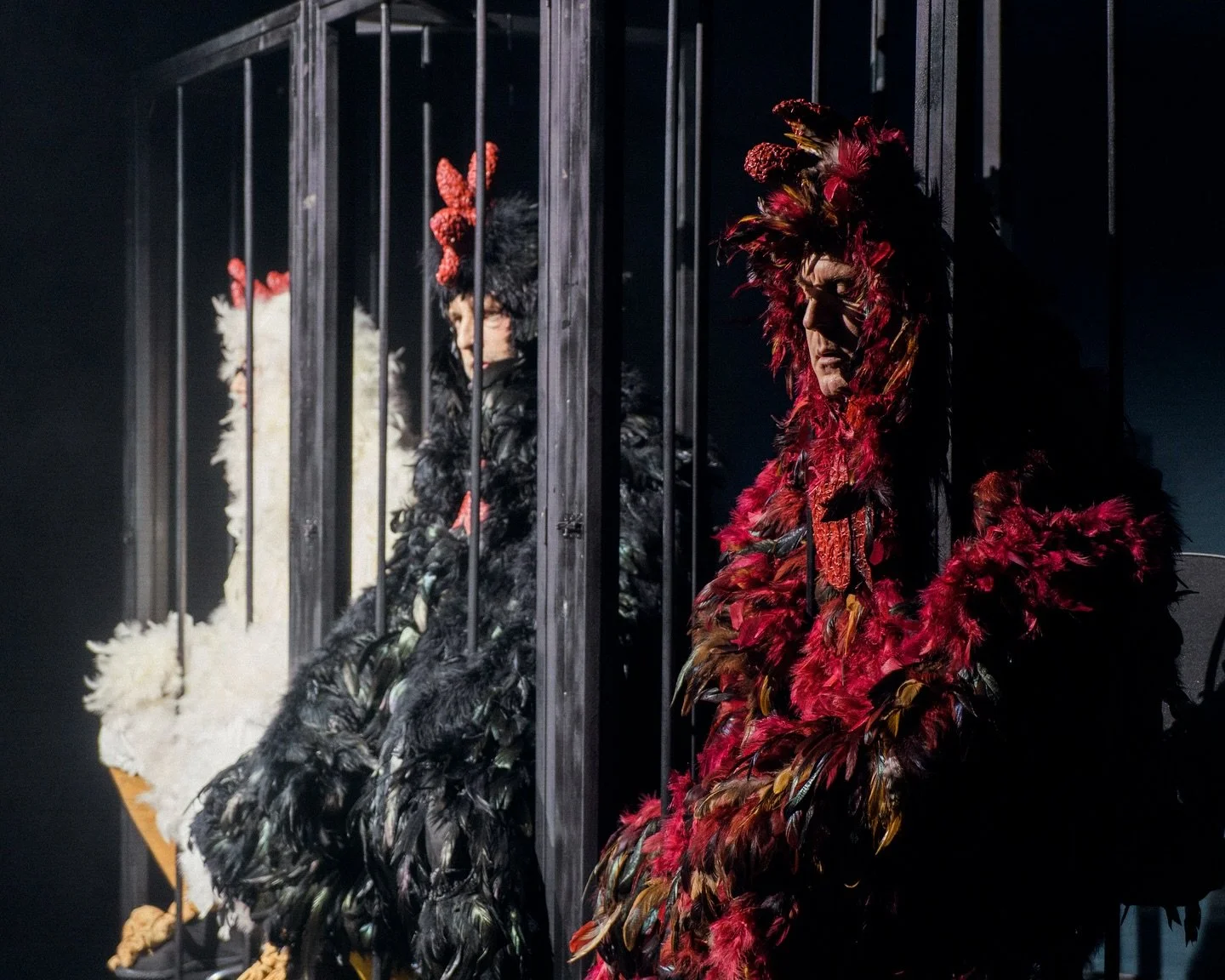 Some pictures of three chickens confronting existence, in a show called Three Chickens Confront Existence, they came to @underbellyboulevard after @edfringe this year and a sold out preview run in New York, great show, great cast, good clean philosop