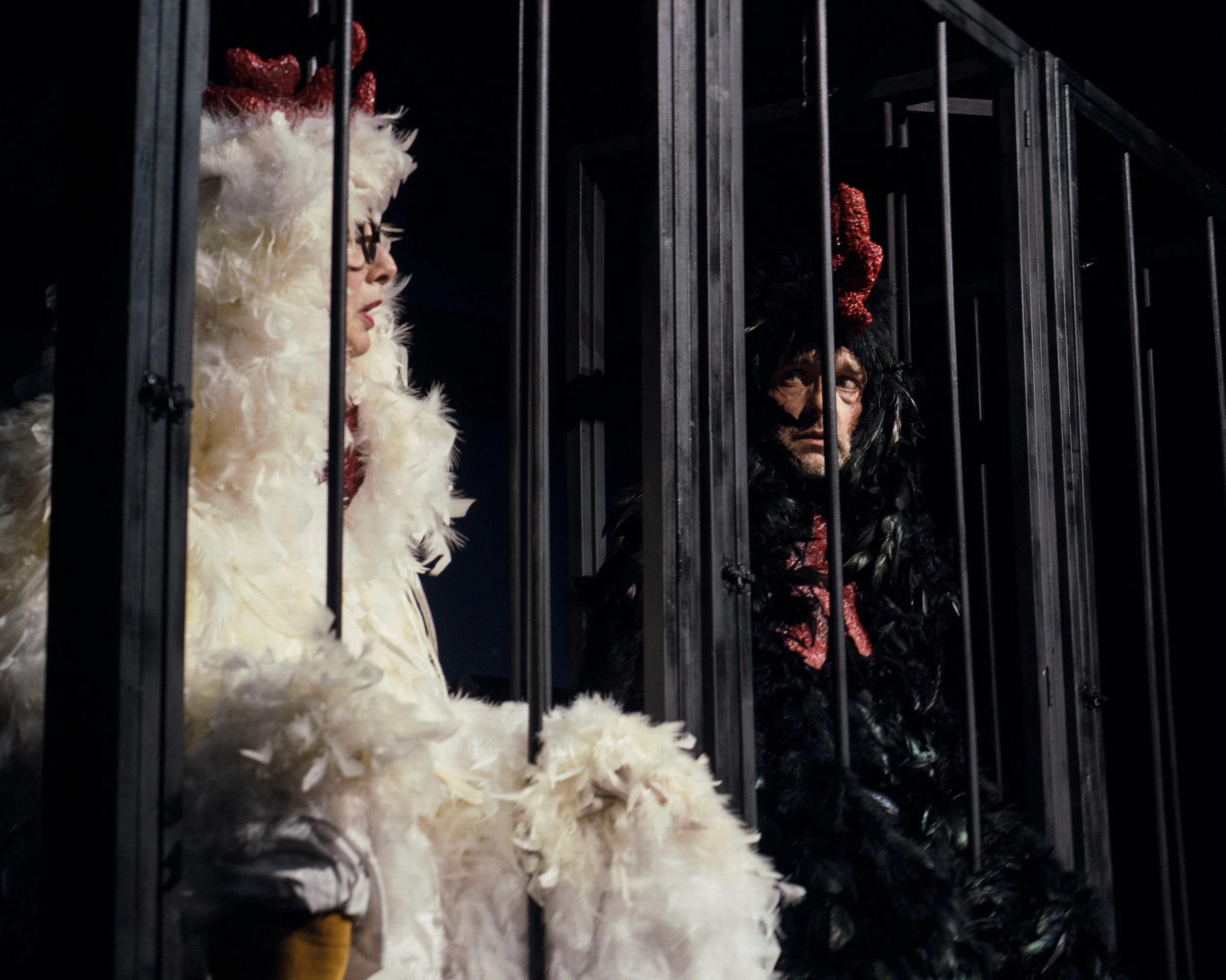 Three Chickens-60.jpeg