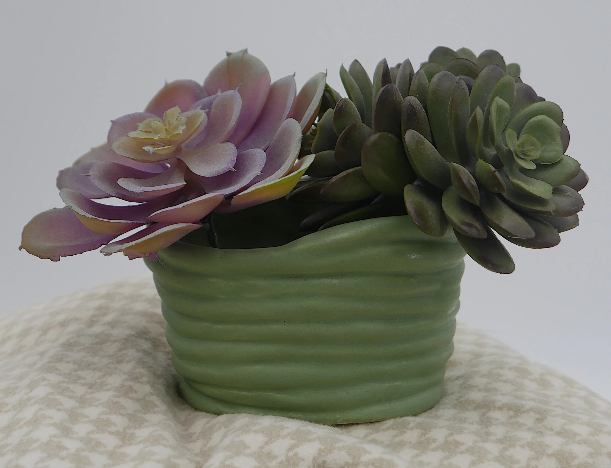 "Pistachio" Succulent Planter