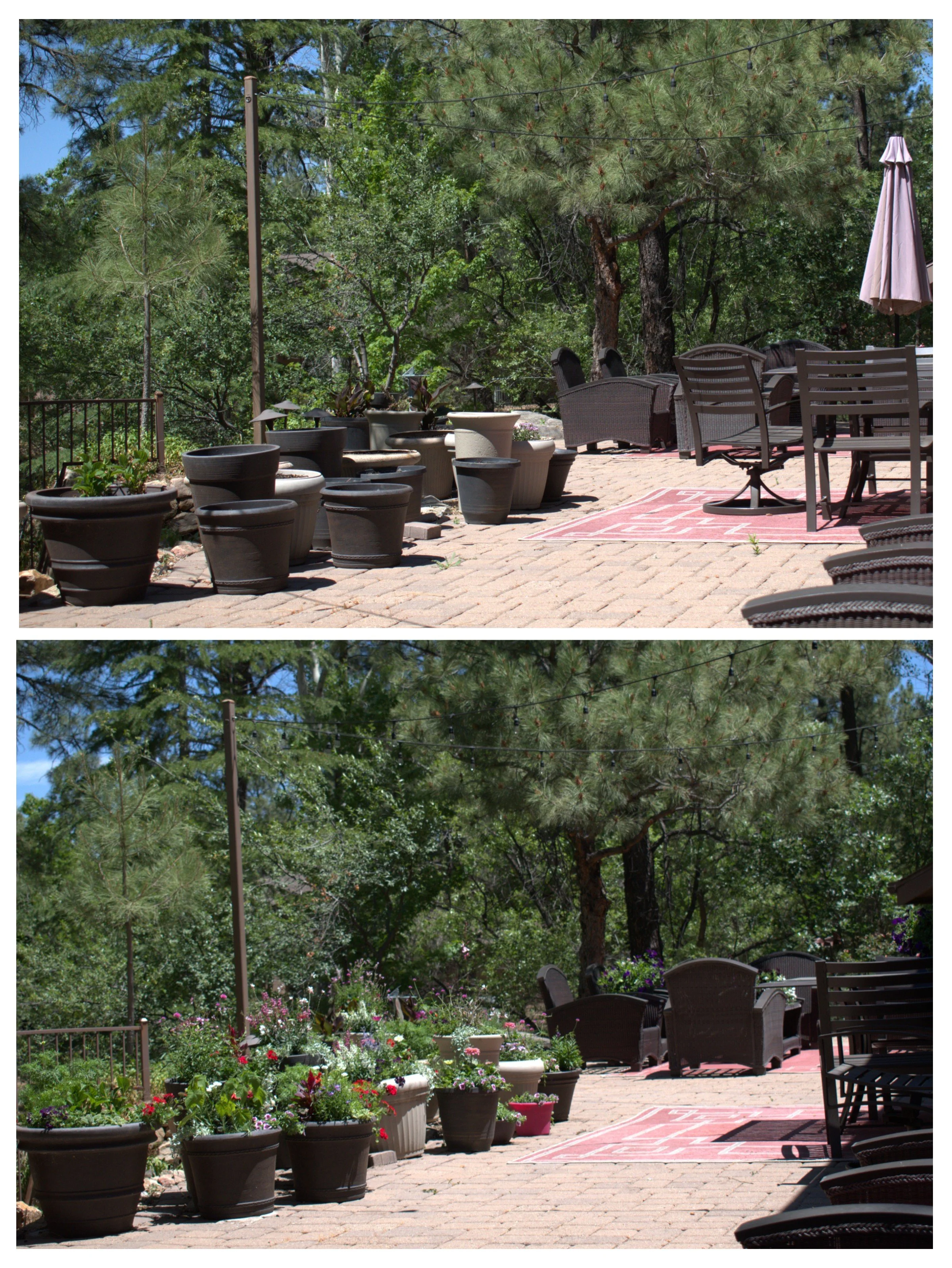 20260612_101025-COLLAGE.jpg