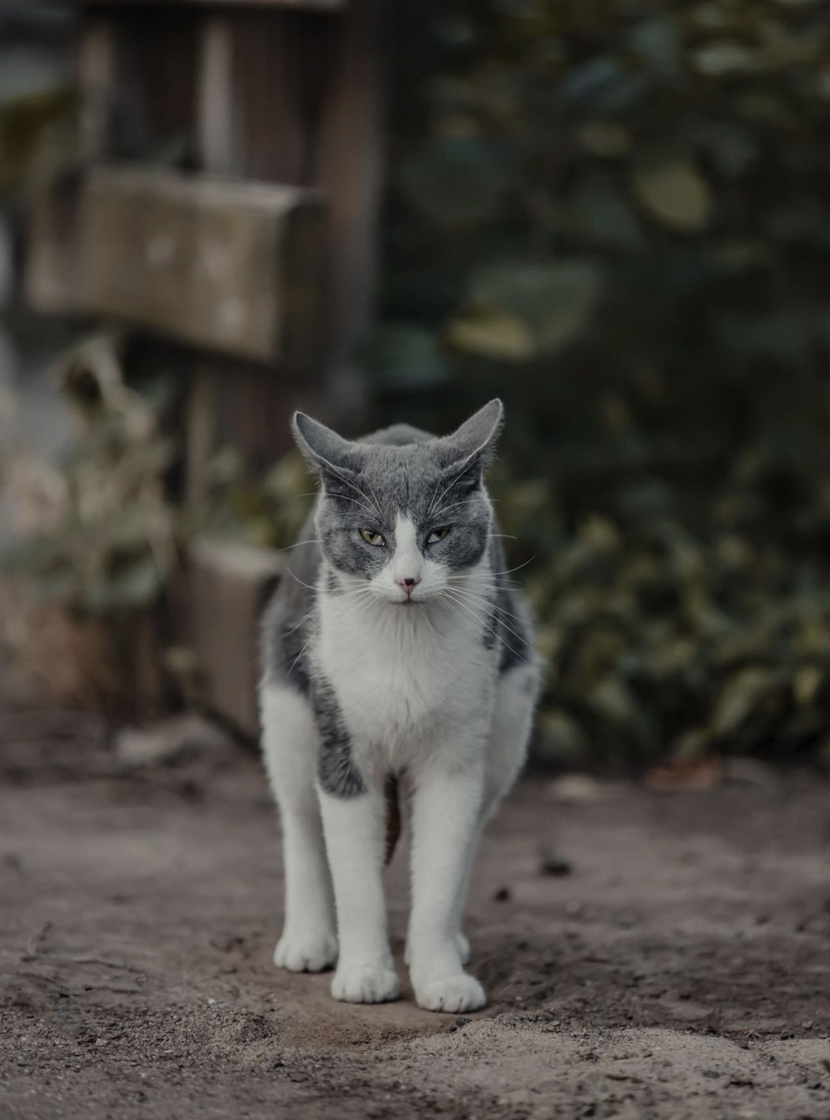 Screenshot 2023-09-18 at 7.20.09 PM.png