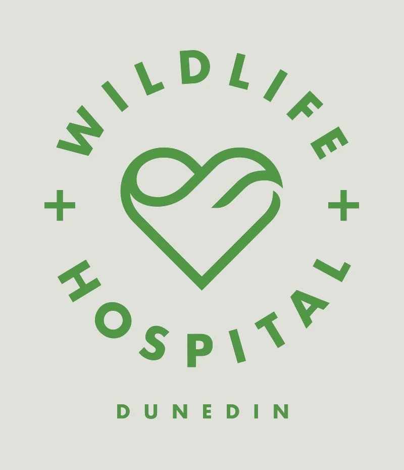 Logo for Wilderness Hospital in Dunedin featuring a stylized heart with a nature theme, using green color and circular text.
