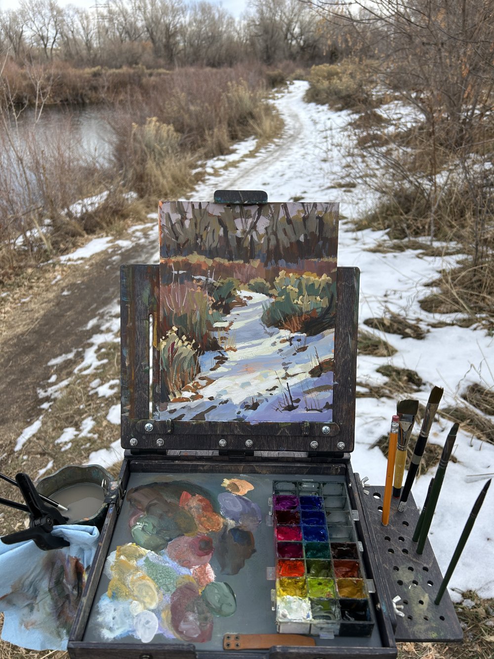 Audubon Winter Path_WIP.jpg