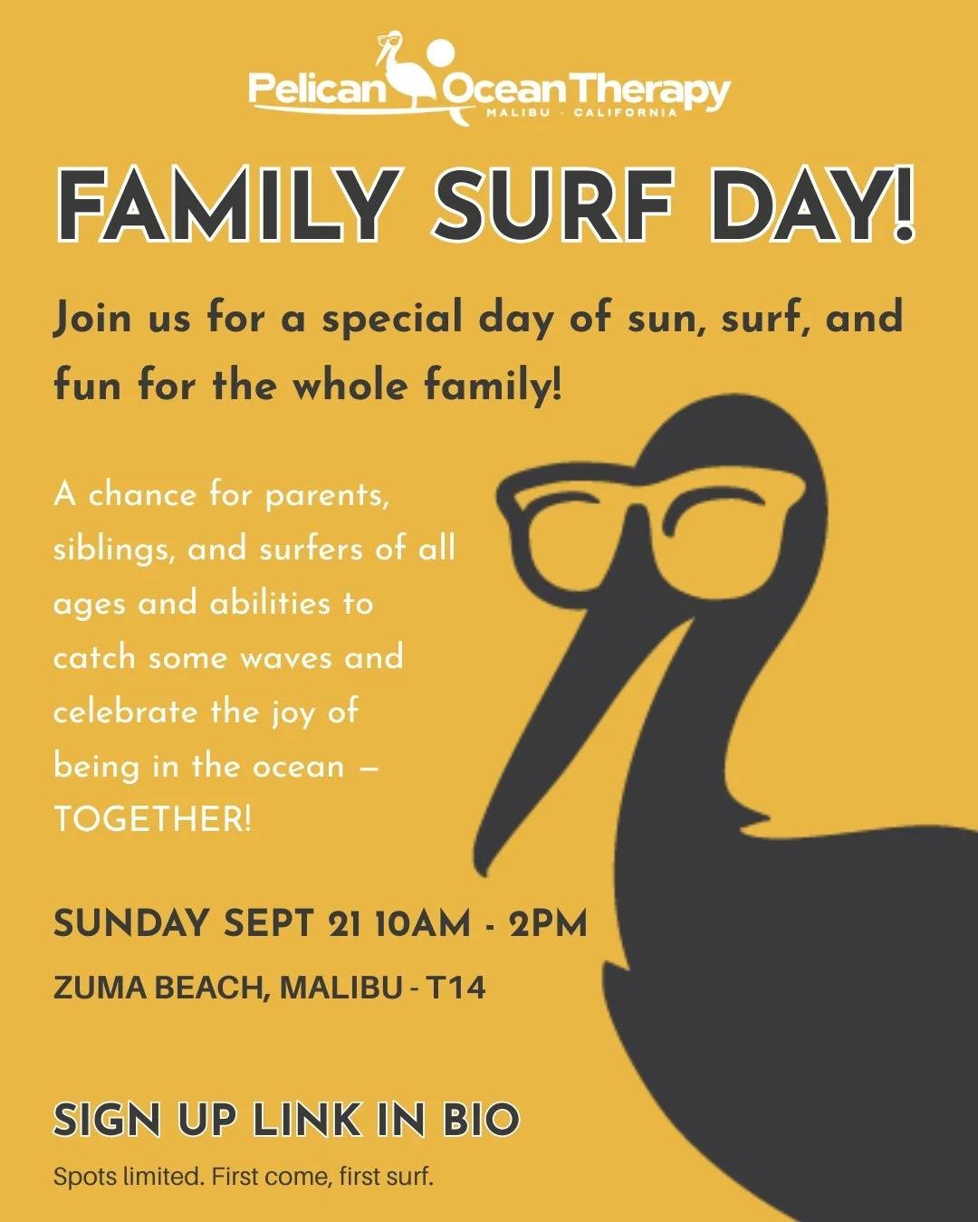 Family surf day advertisment