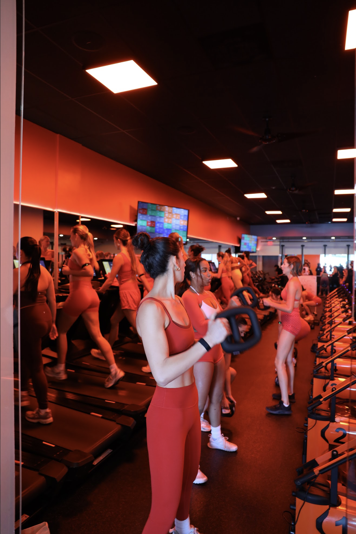 Screenshot 2026-01-24 at 5.36.12 PM.png