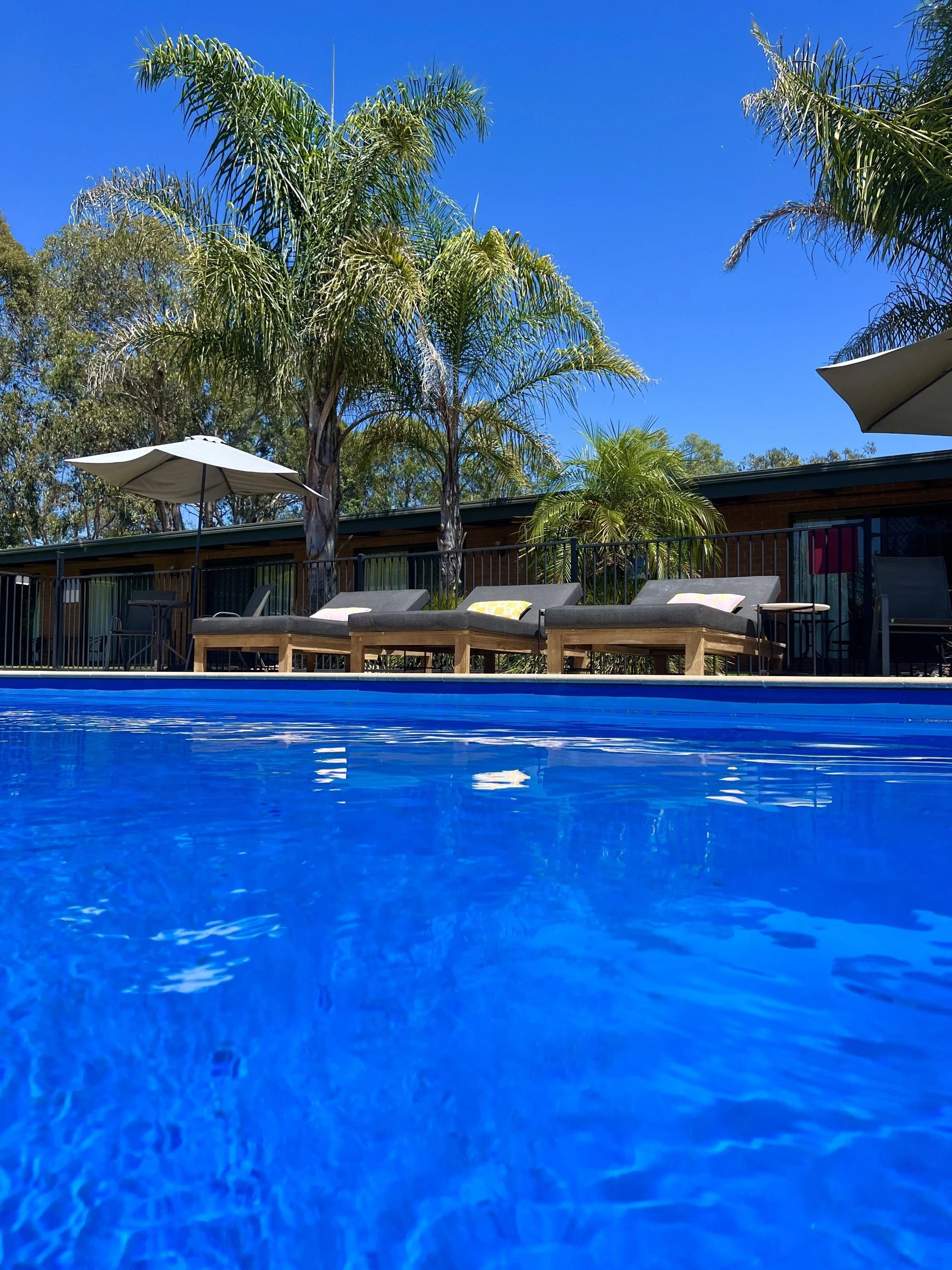 View from pool.jpg