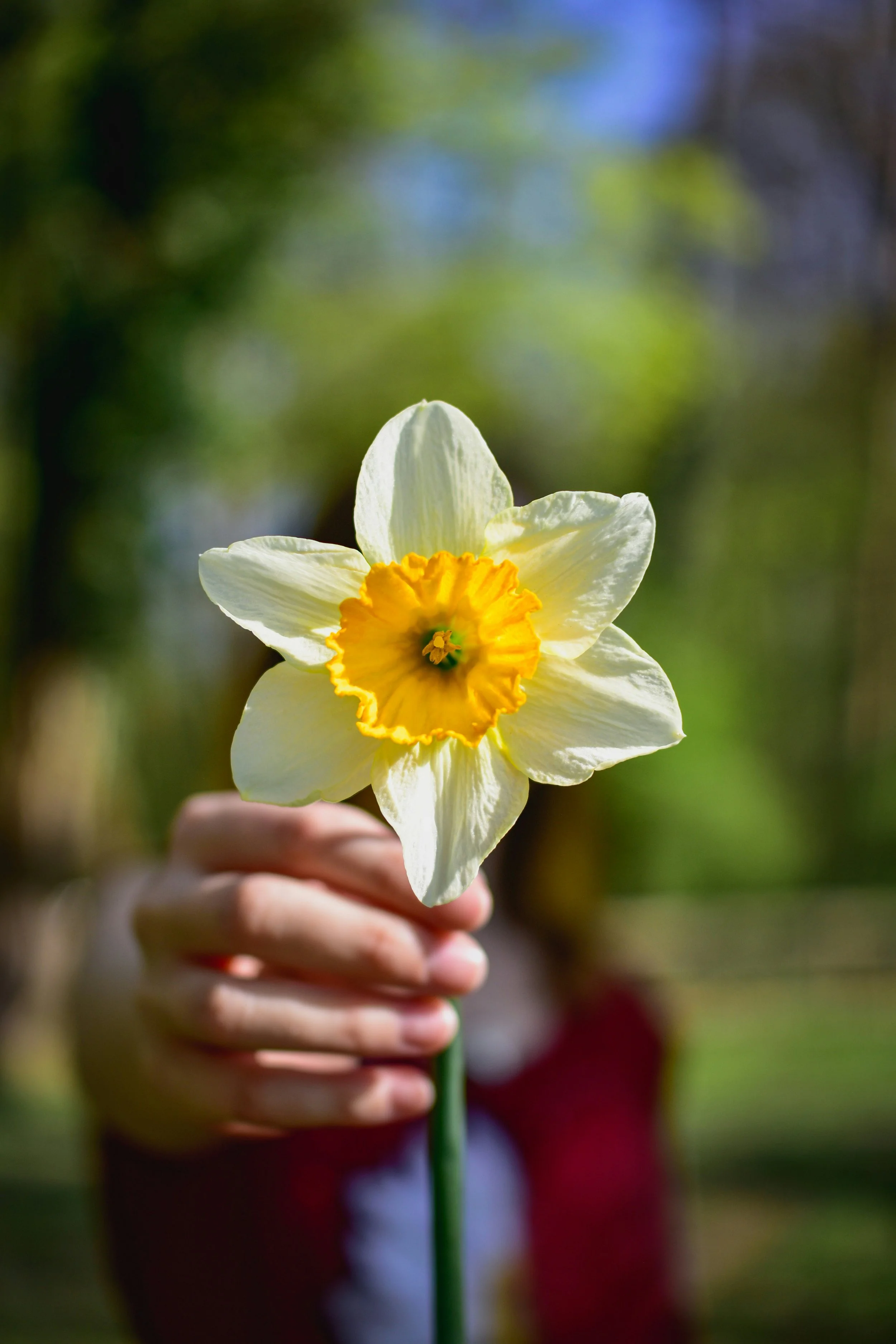 Raffle: Step into Sacred Wholeness — Our Gift to You