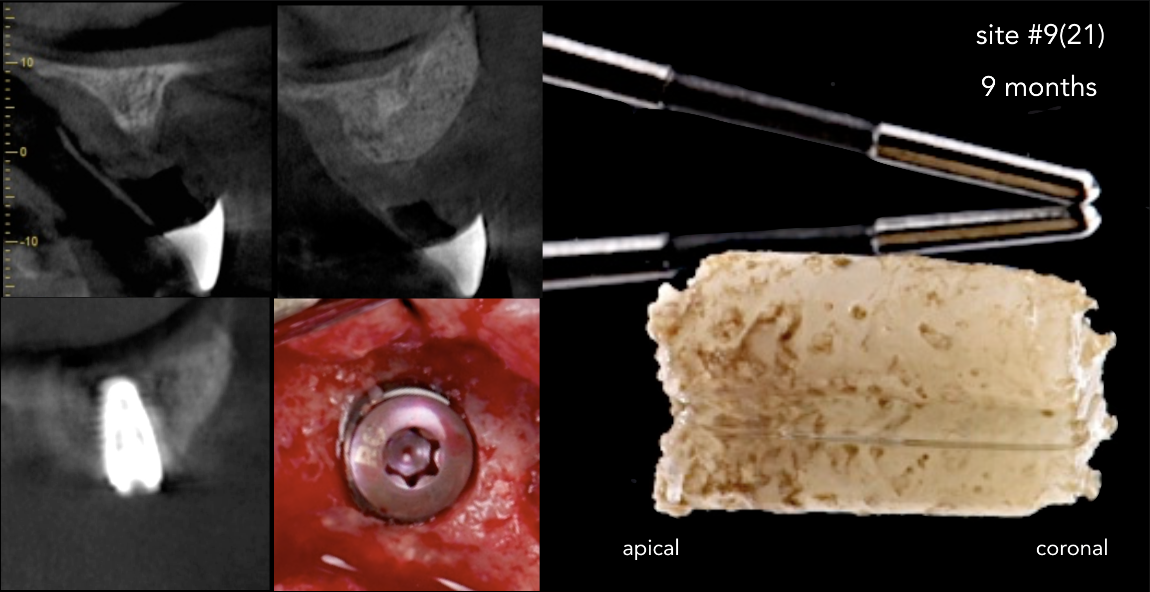 Screen Shot 2019-02-20 at 1.13.43 PM.png