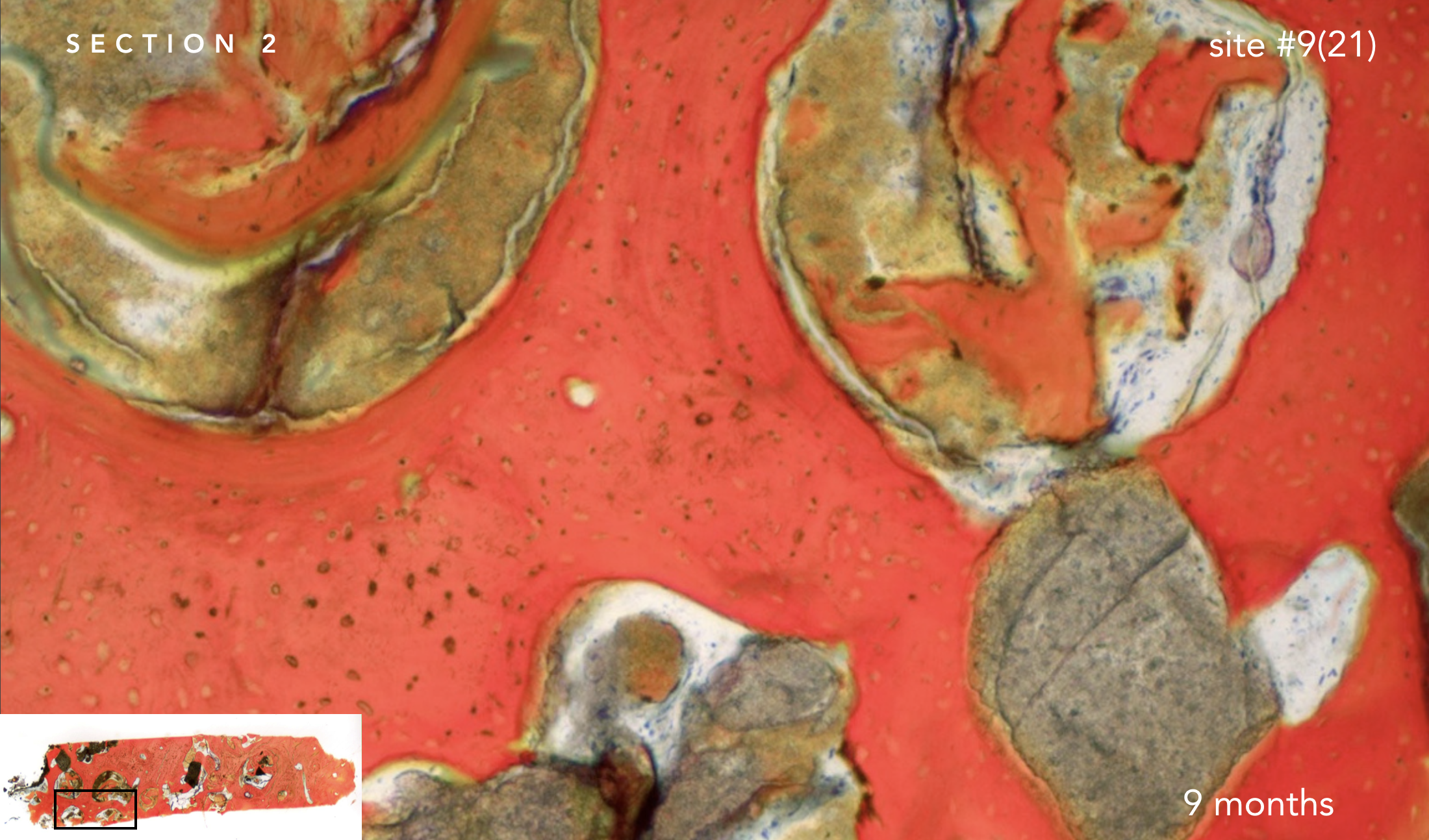 Screen Shot 2019-02-20 at 1.39.29 PM.png