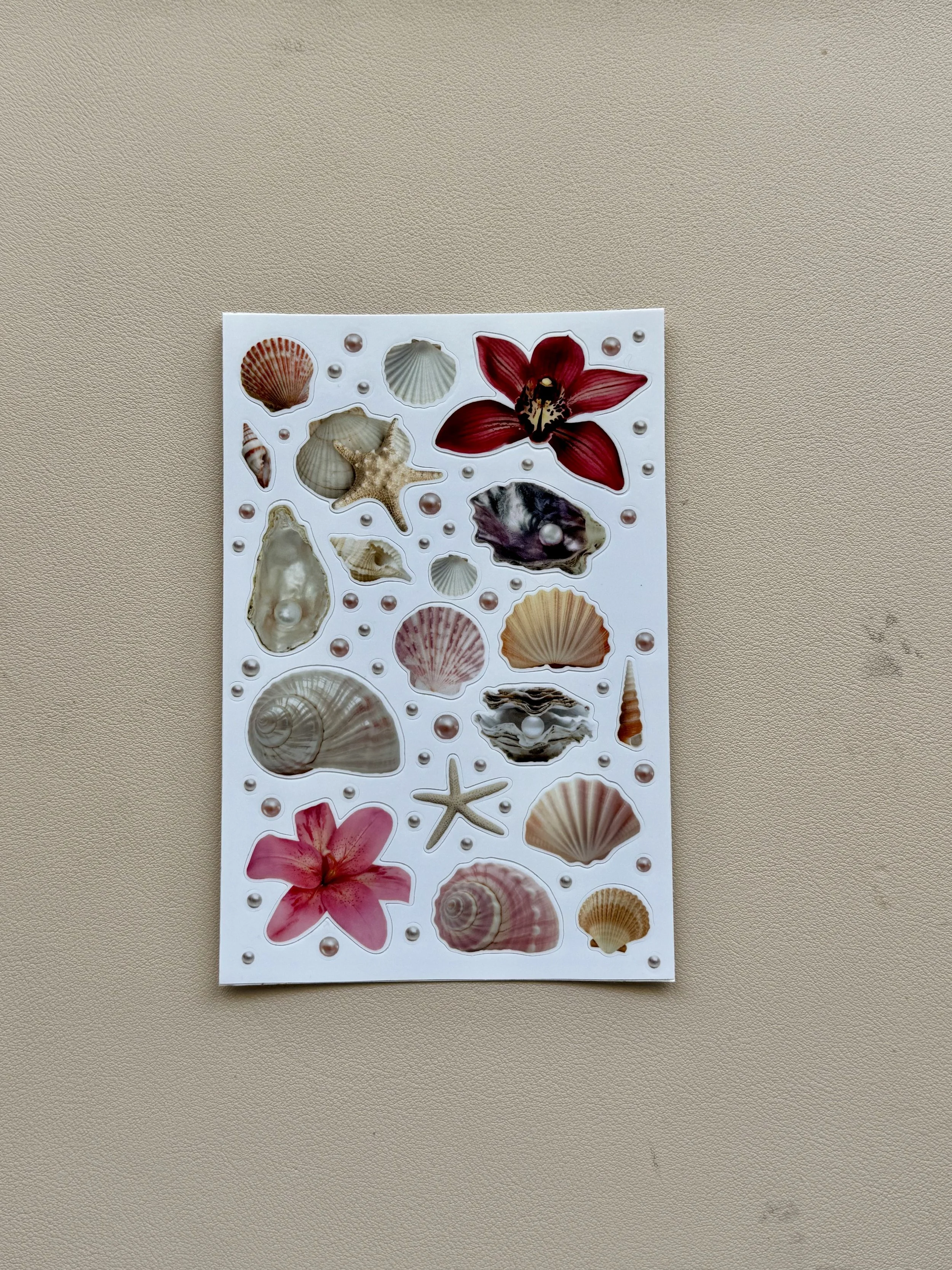 shells sticker sheet