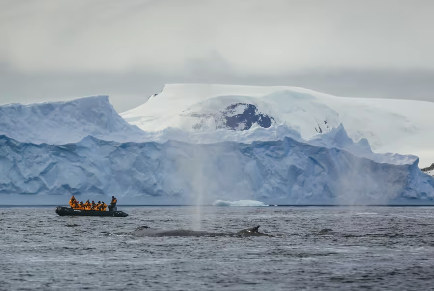 quarkexpeditions - wildlife.png