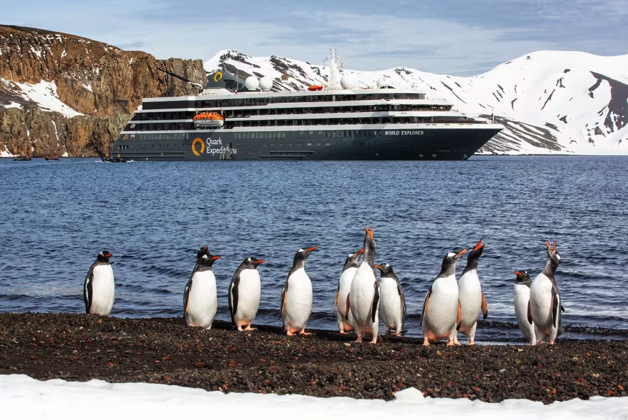 quarkexpeditions - penguins.png