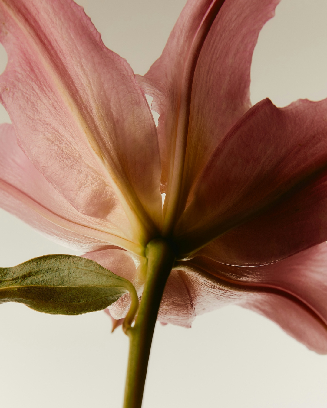 What a Surgical Consultation Really Involves (And the Questions You Should Be Asking)