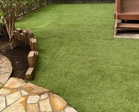 我が家の芝生