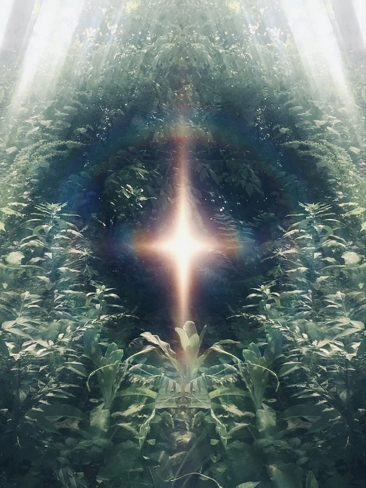 A forest scene with sunlight beams shining through trees, creating a bright center with a radiant glow, and reflected foliage.