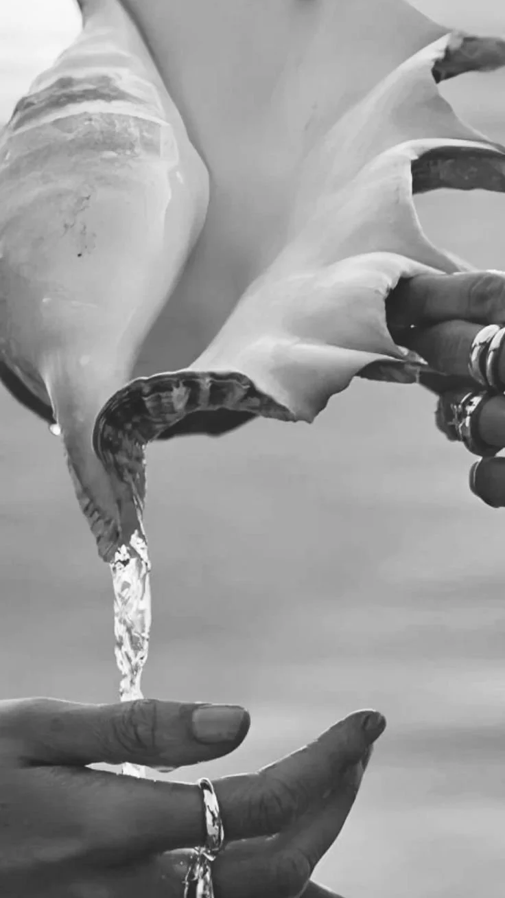 A person holding a conch shell with water pouring out of it in black and white.