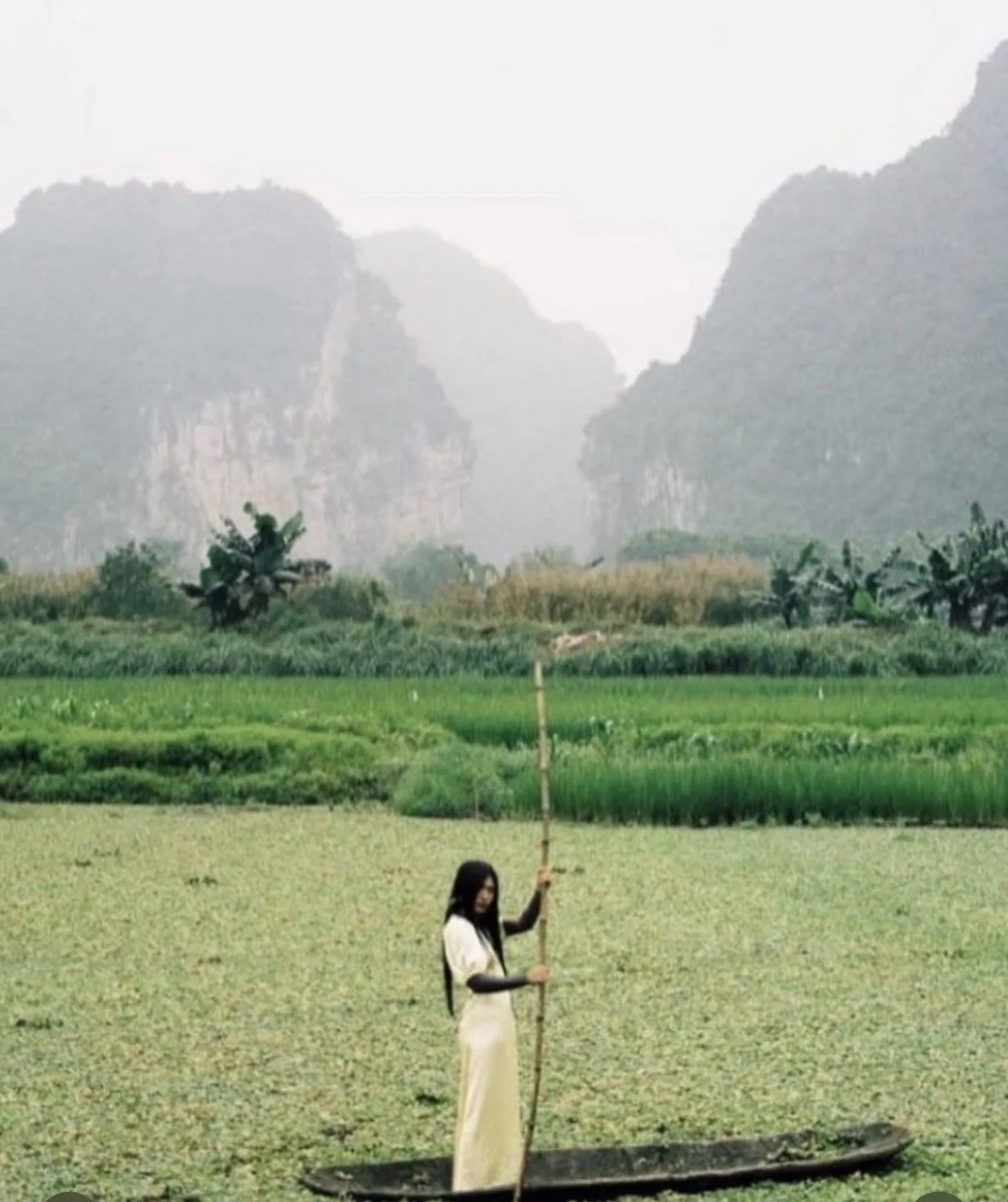 A woman standing in a green field, holding a long bamboo stick, with a landscape of mountains, trees, and rice paddies in the background.