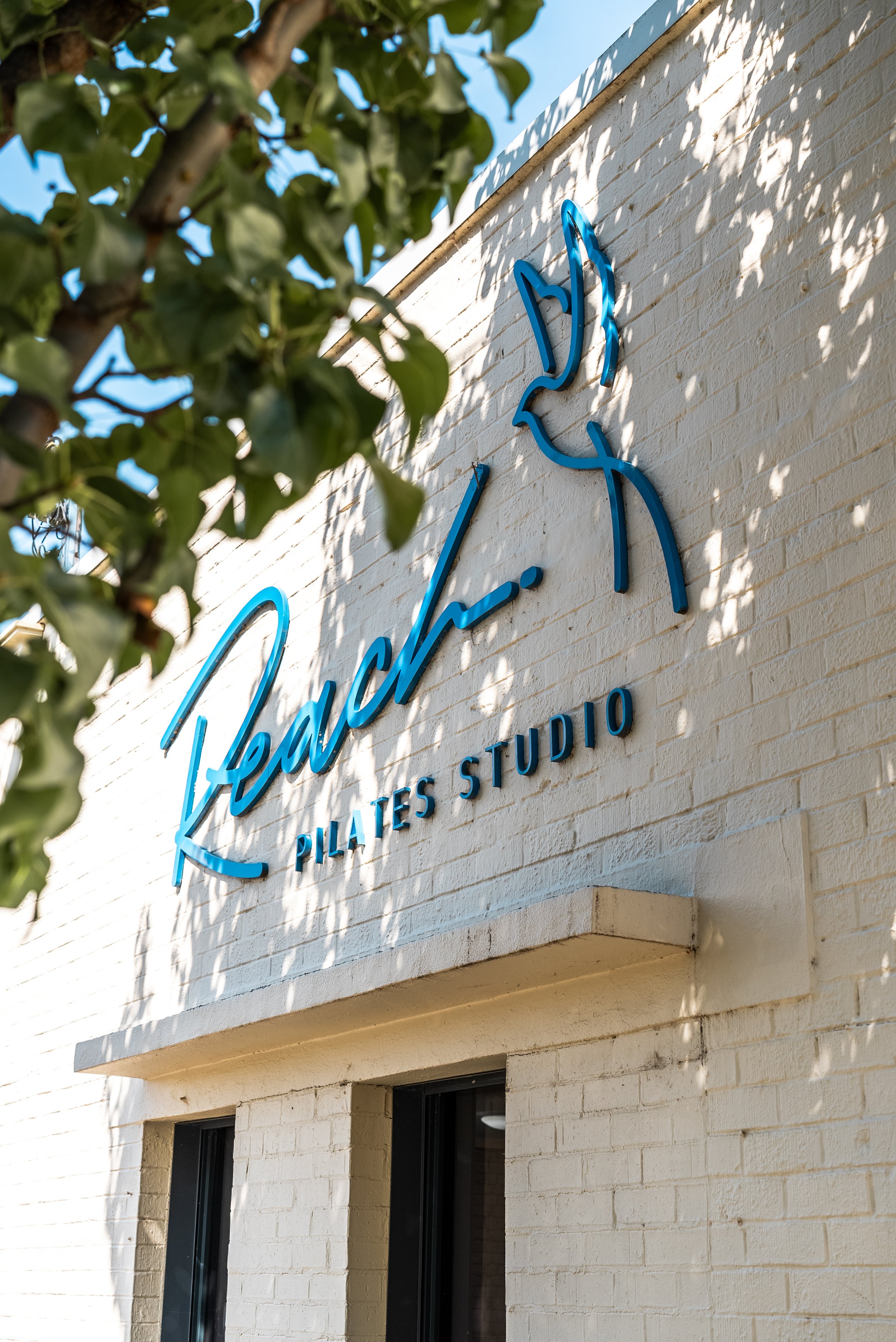 Exterior of a building with "Reach Pilates Studio" sign in blue letters on a white brick wall, partially obscured by tree leaves.