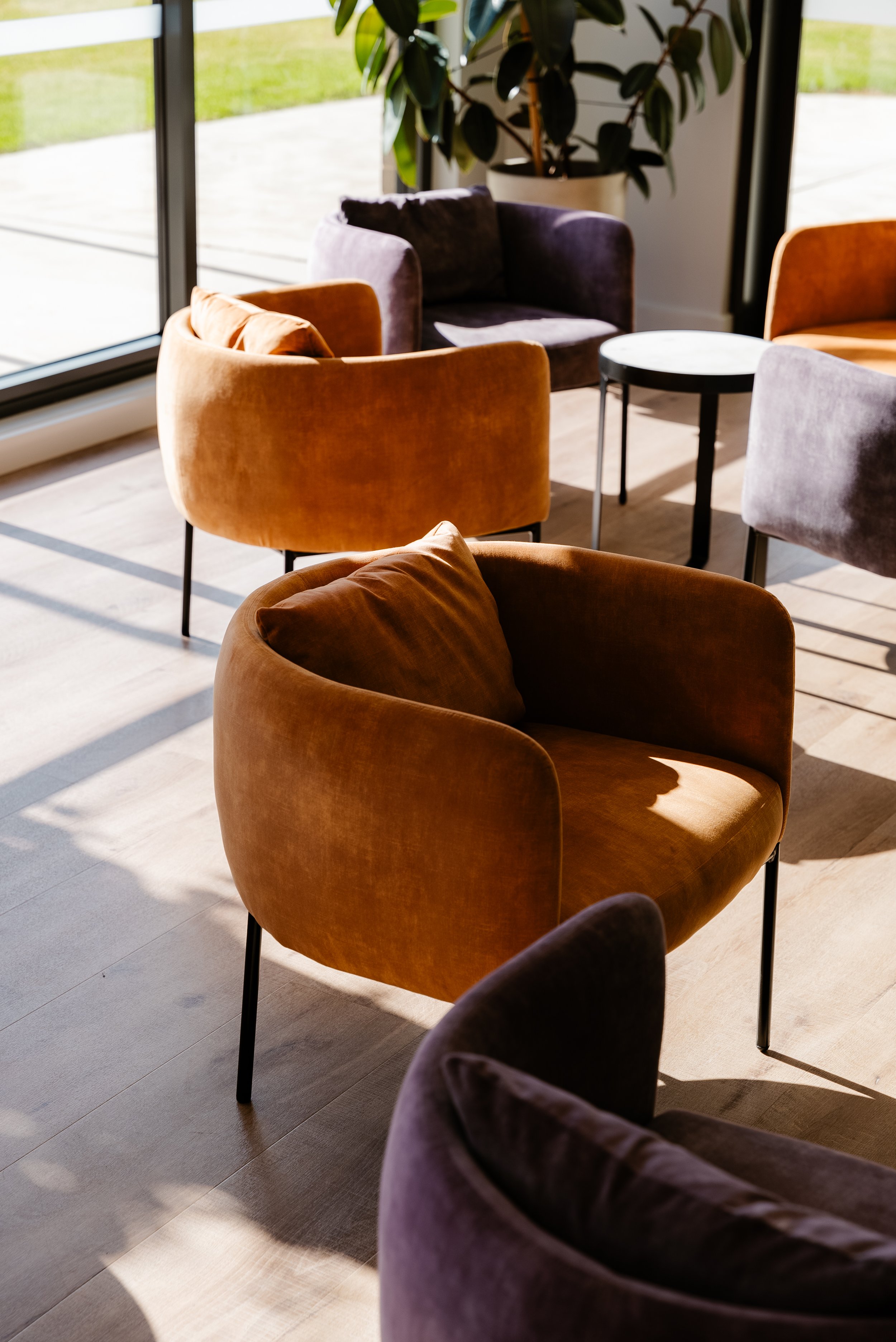 Modern lounge area with velvet chairs in warm sunlight.