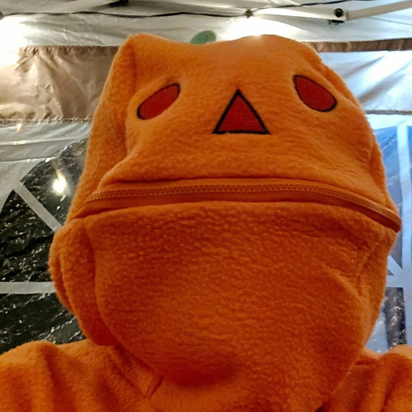 Finally got a pumpkin 🎃  Happy (Late) Halloween.🦴 What costume? An alien in disguise idk ☠️.