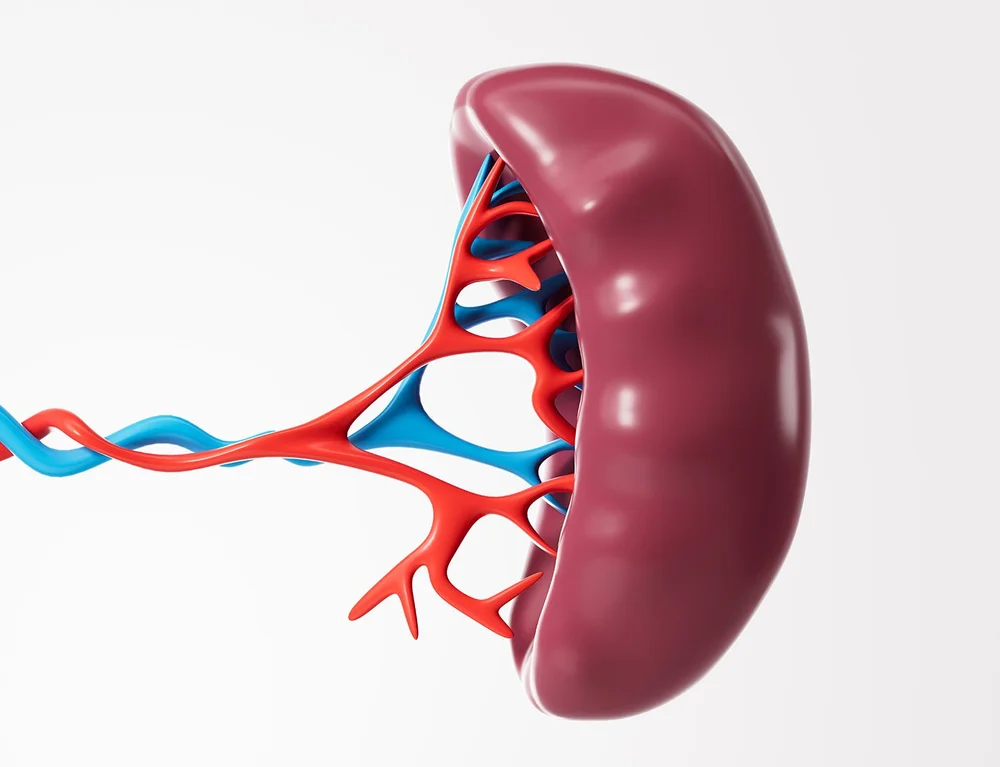 Splenectomy Changes Laparoscopic Splenectomy — Surgery Central