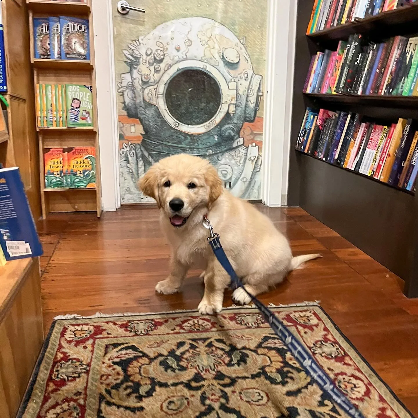Open all weekend for book lovers and rug connoisseurs alike. 📚✨🐾