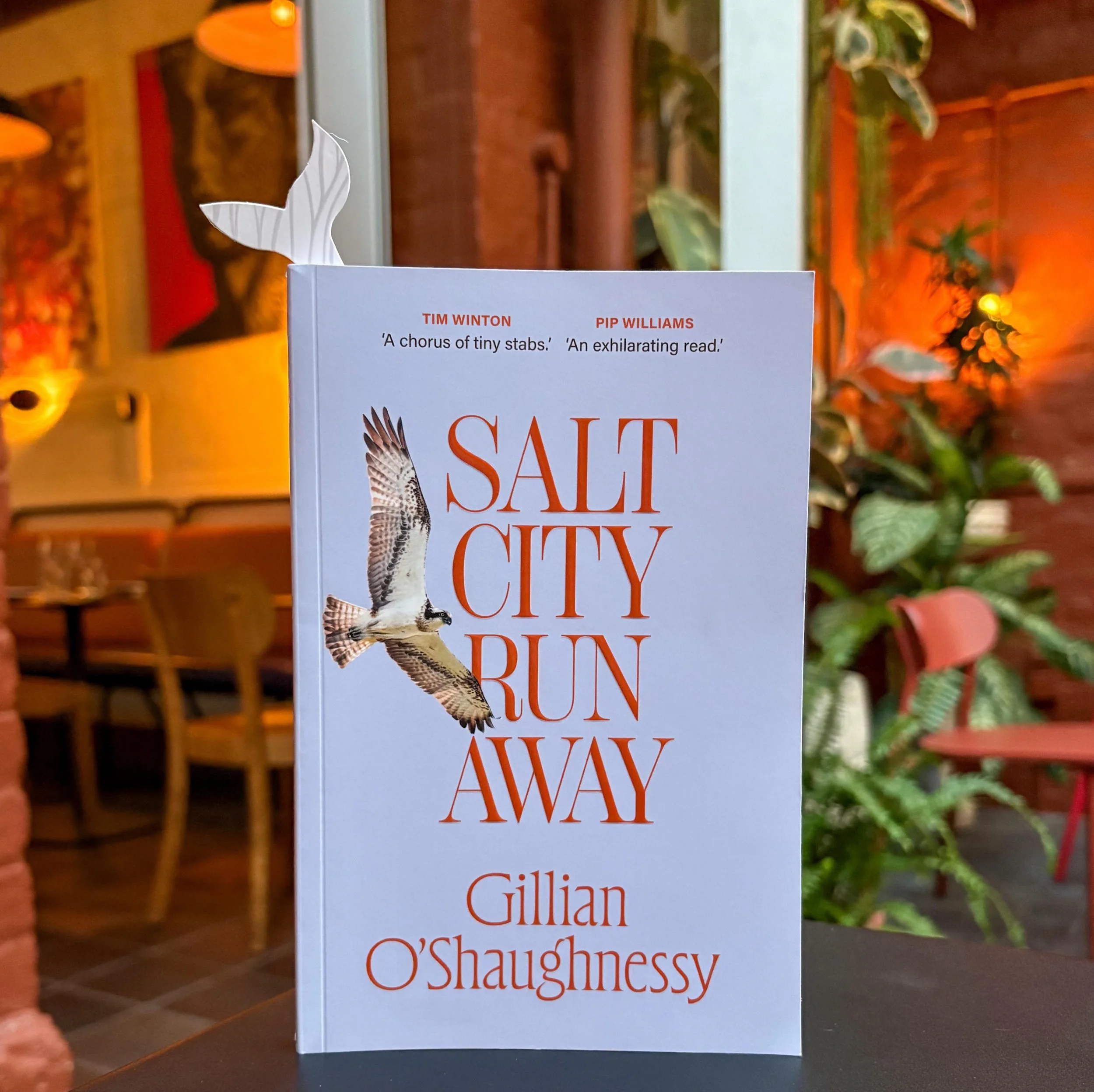 We are so proud to host award-winning local writer Gillian O&rsquo;Shaughnessy in a couple of weeks, celebrating the release of her debut flash fiction collection, Salt City Runaway!

📅 Monday the 11th of May from 6:30pm
📍Ode To Sirens, 25 High St,