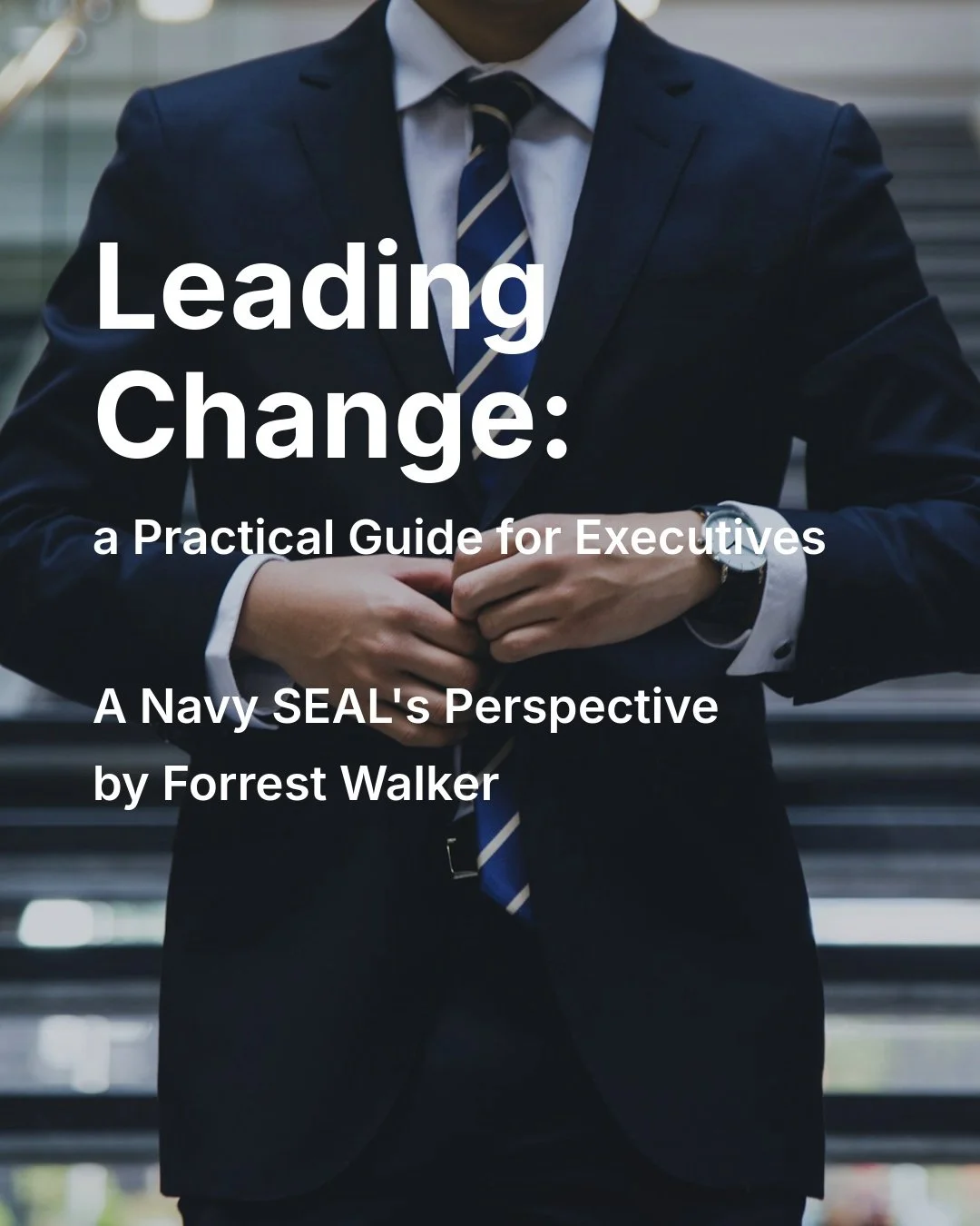 TPC_Leadin Change_A Practical Guide_for Executives_Front Cover.jpeg