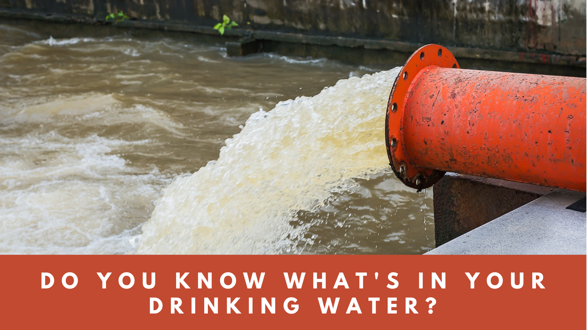 Do you know what's in your drinking water?