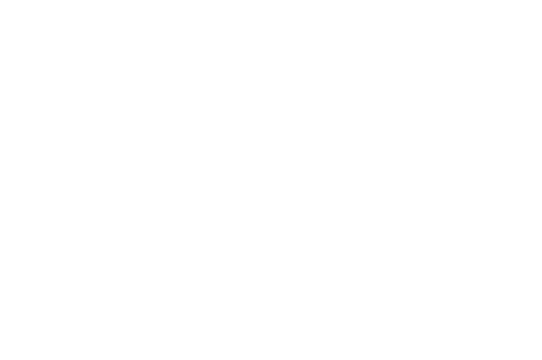 QUARTER FINALIST - WideScreen Film  Music Video Festival - 2024 (1).png