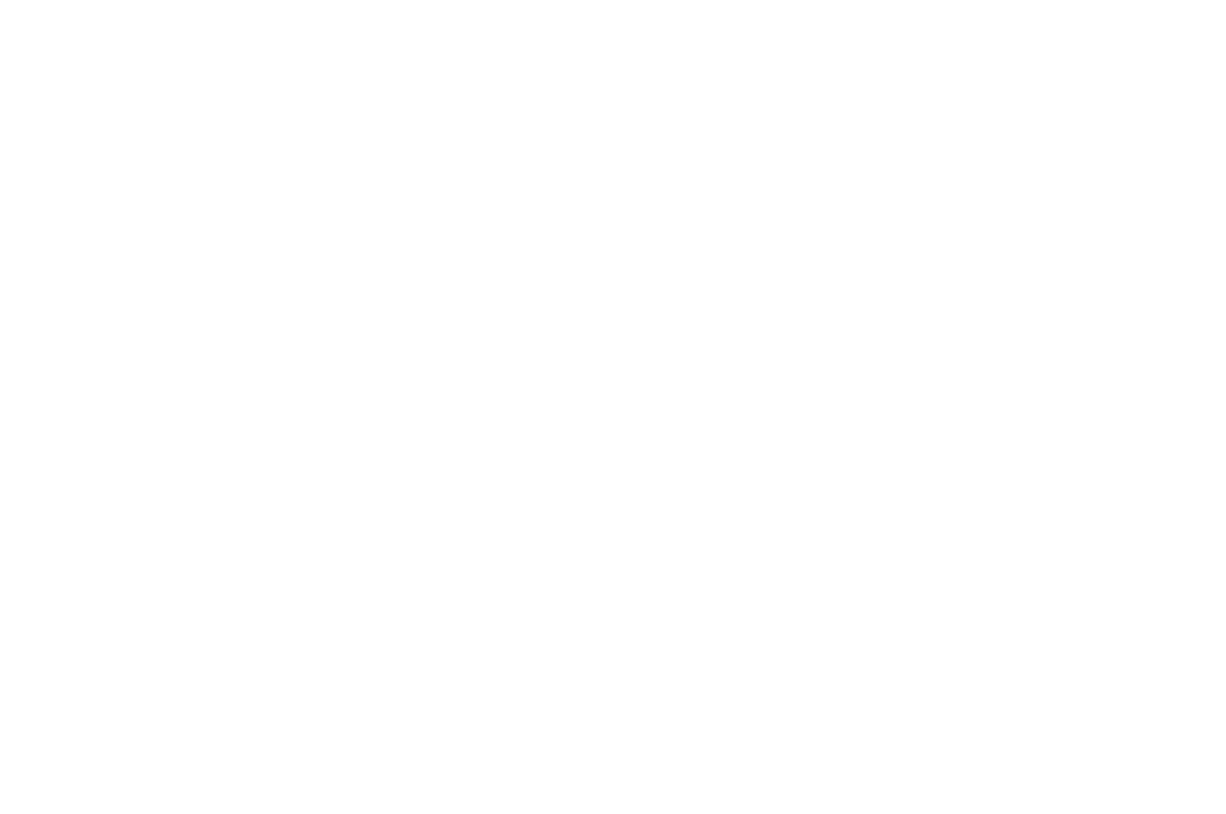 OFFICIAL SELECTION - Amsterdam Lift-Off Film Festival - 2026.png