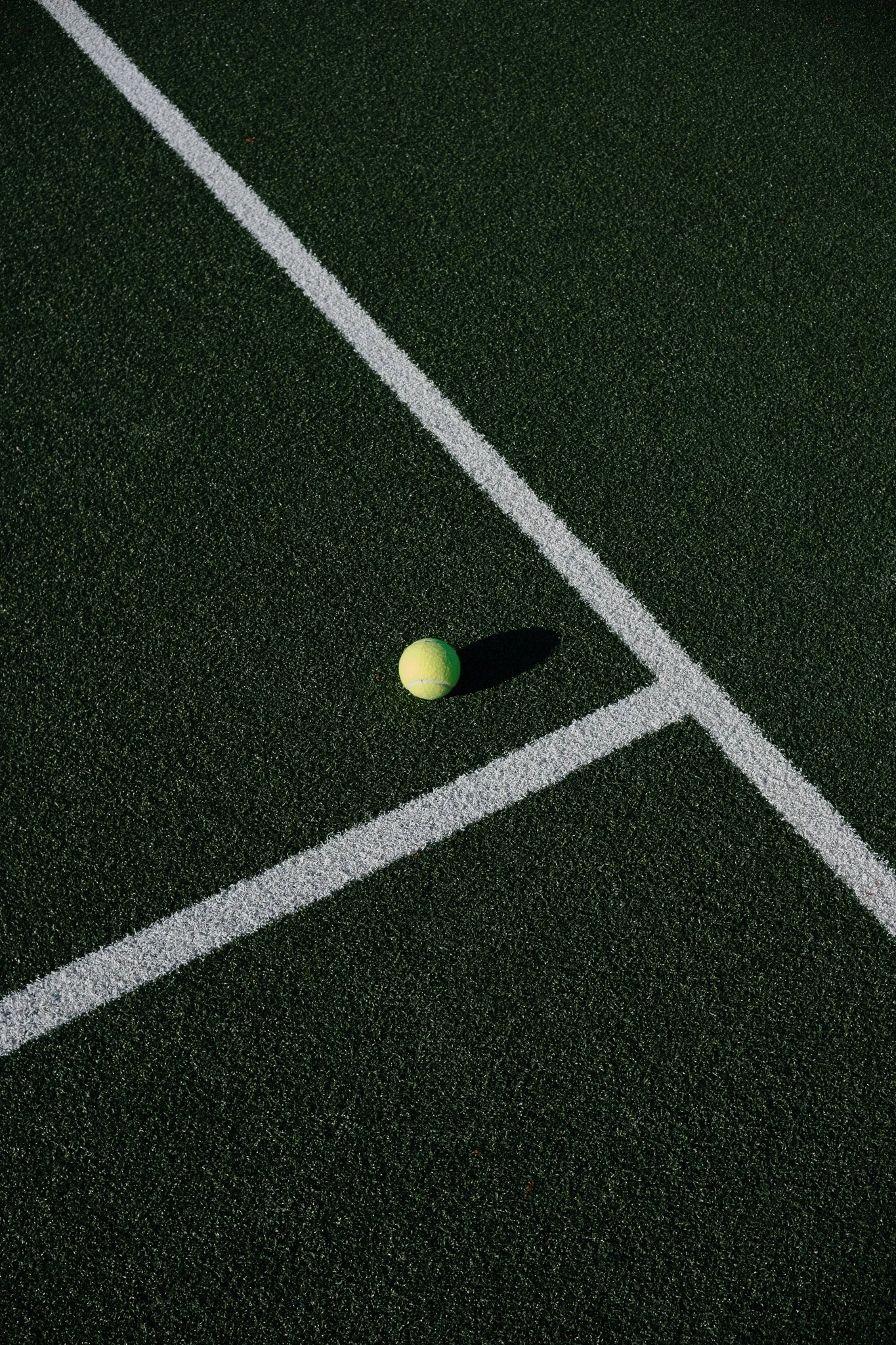 DSCF8408.jpg