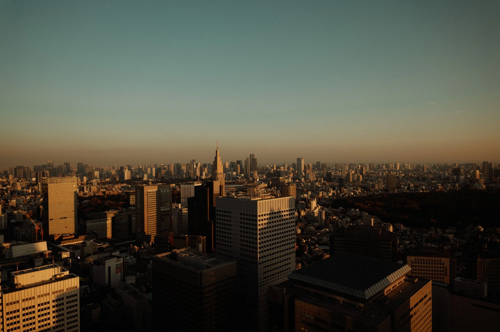 L1011493.jpg