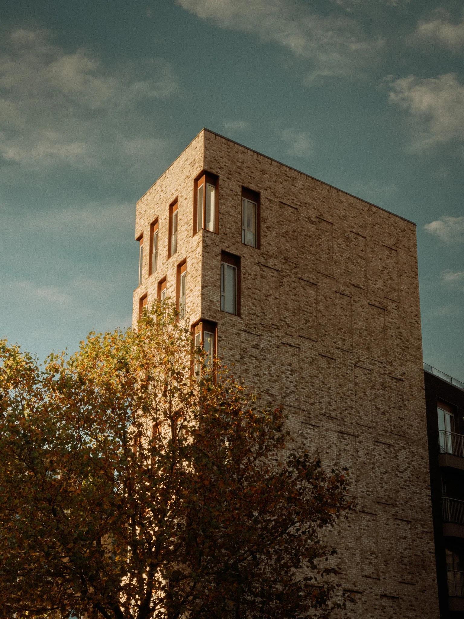 DSCF2374.jpg