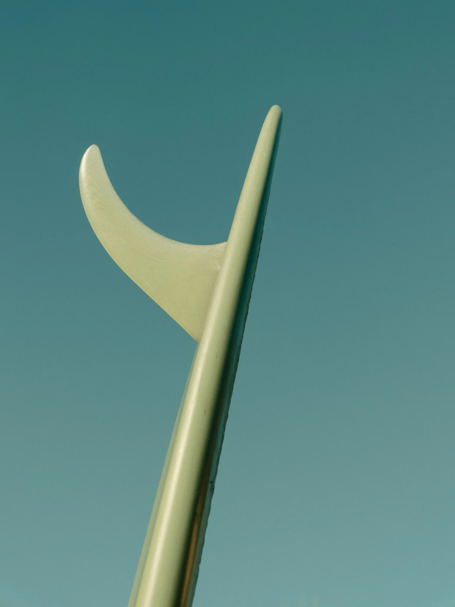 DSCF7613.jpg