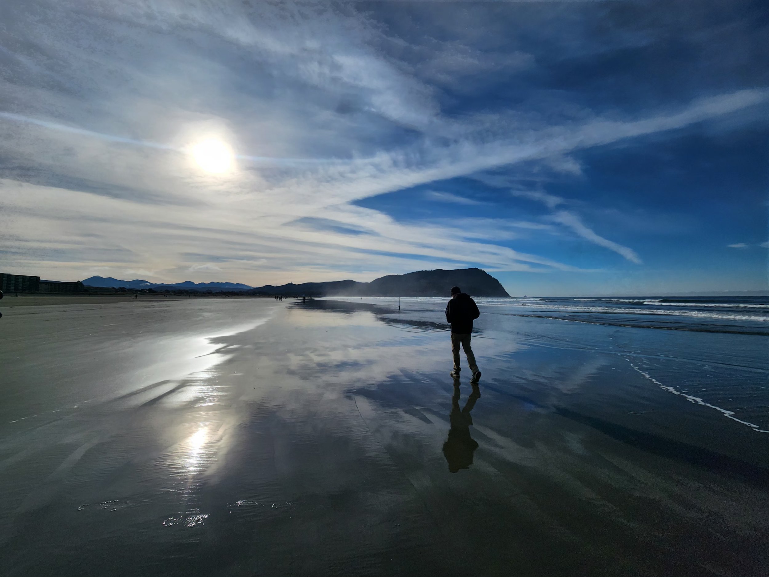 Seaside, Oregon- Thanksgiving-Sea Lions