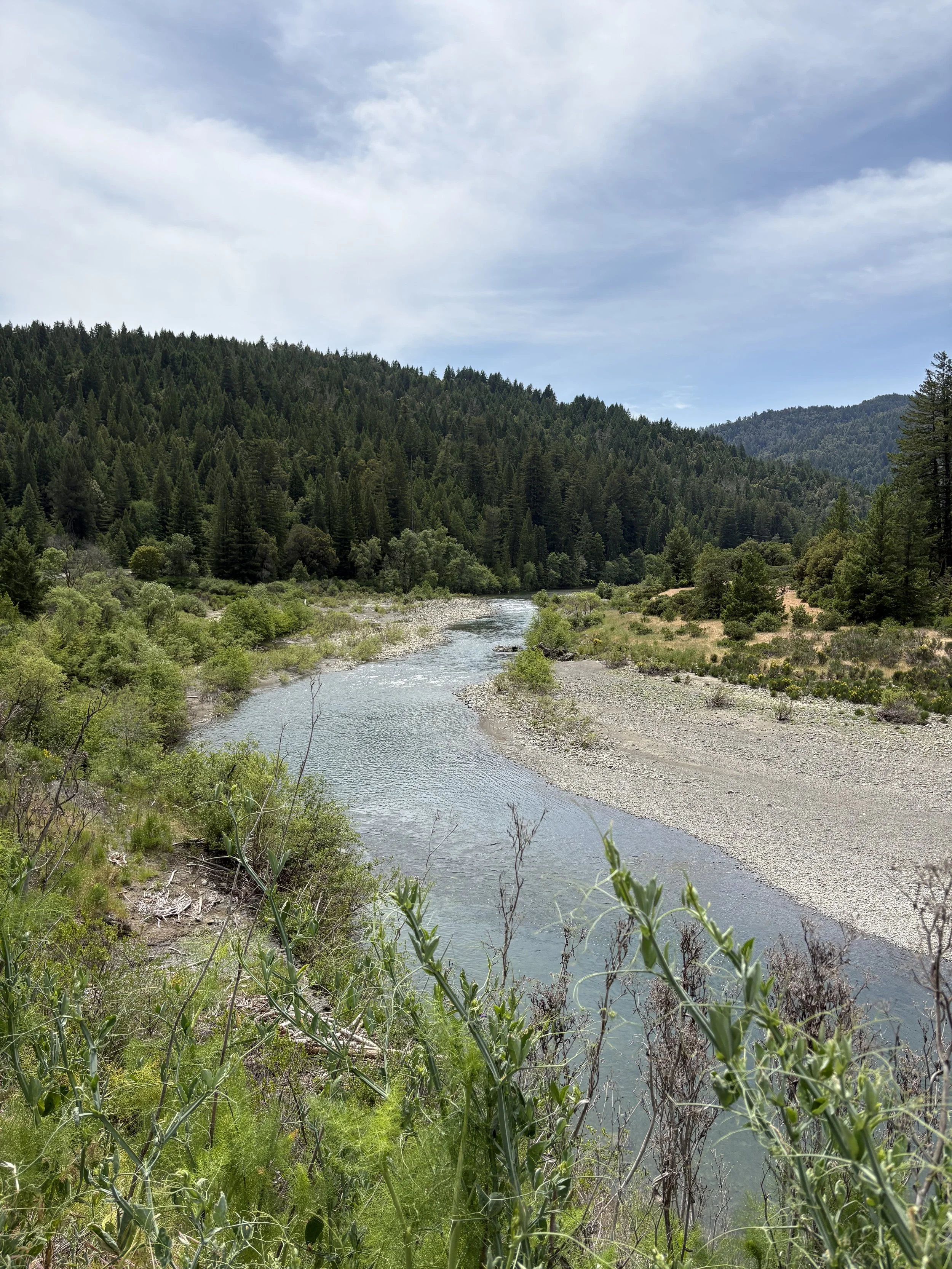 Benbow State Recreational Area