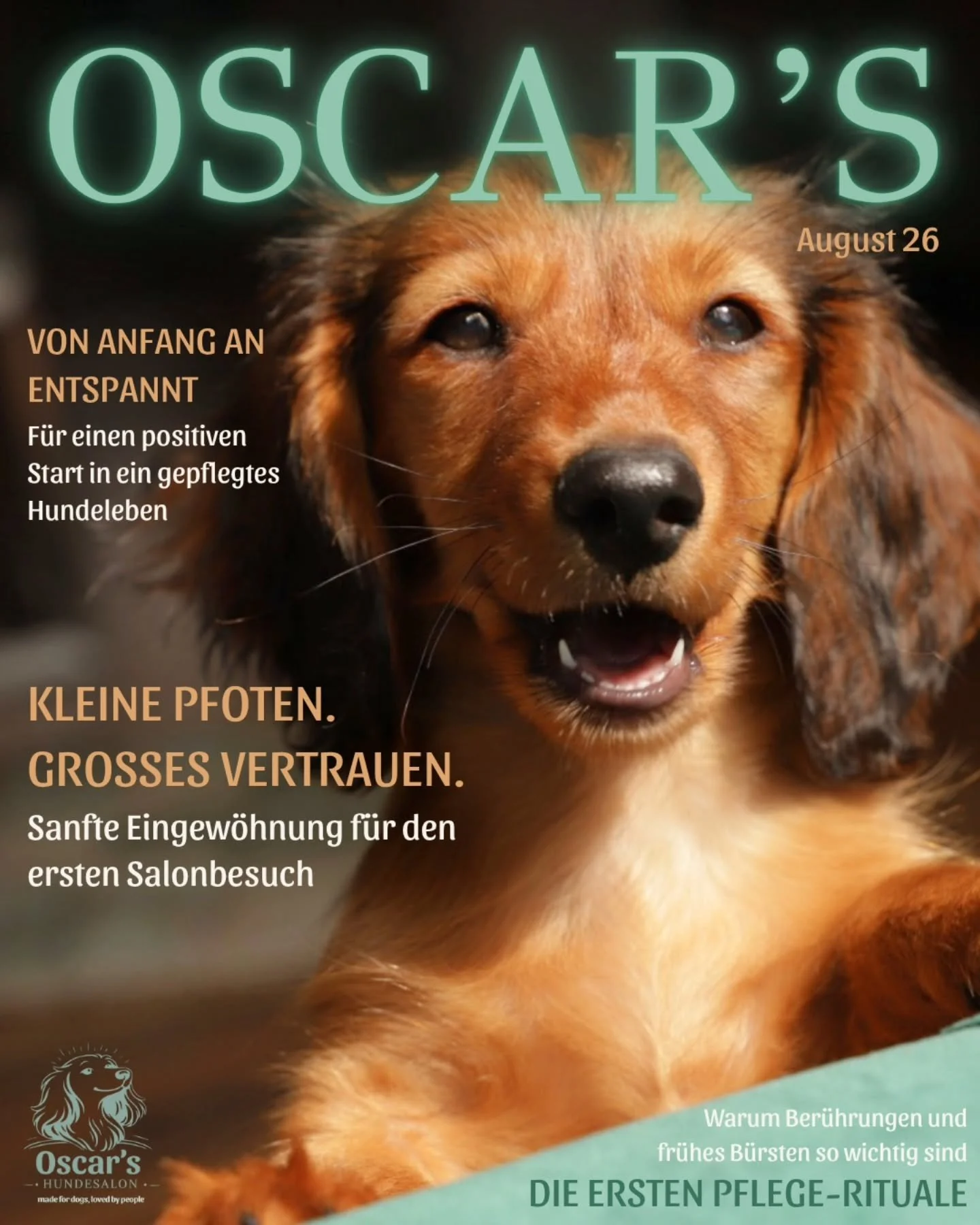 F&uuml;r einen positiven und entspannten Start in ein gepflegtes Hundeleben 🐕✨️

Der erste Besuch beim Hundefriseur sollte f&uuml;r Ihren Welpen vor allem eines sein: positiv, ruhig und stressfrei. Deshalb empfehlen wir, den Hund fr&uuml;hzeitig an 