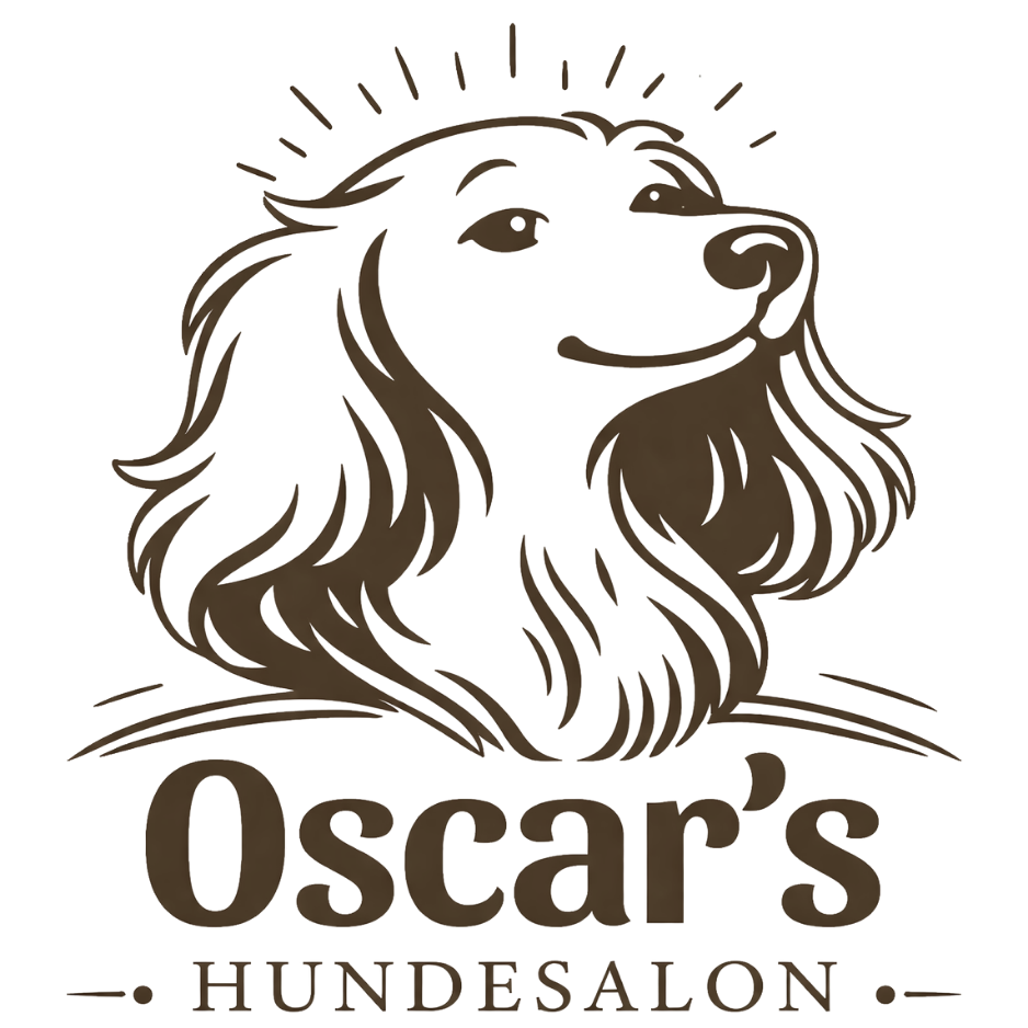 Grafische Darstellung eines Hundes mit lockigem Fell, umgeben von Strahlen, darunter der Schriftzug "Oscar's Hundesalon".