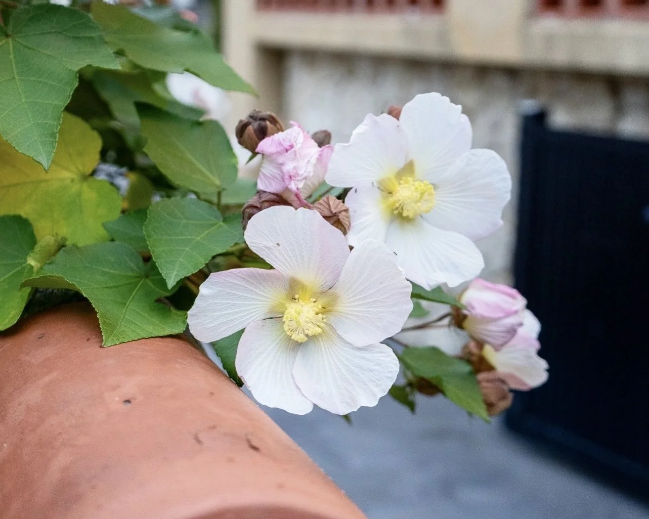 1月、着実に前進しています