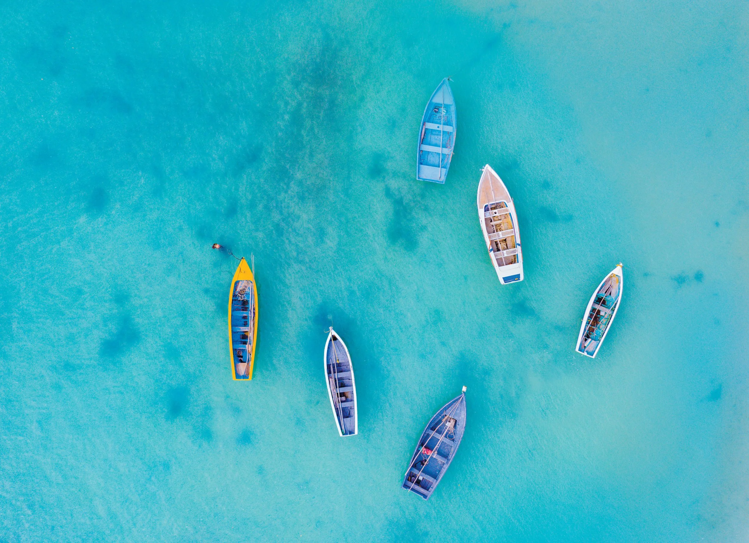 Reputation Management