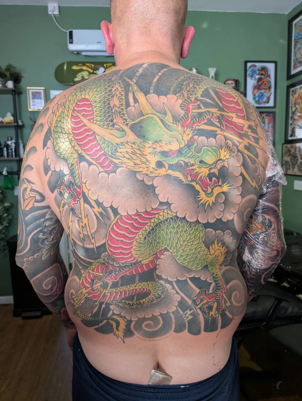 Dragon Back Green 2.jpg