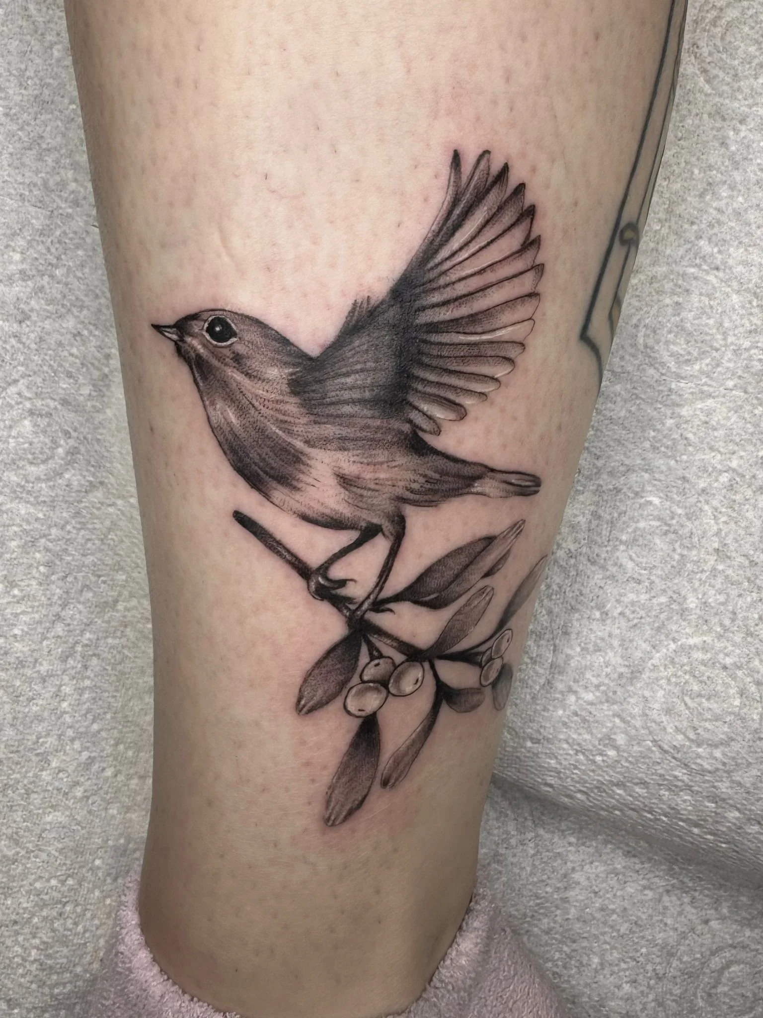 106Izy-Quinn-tattoo-newport.jpg
