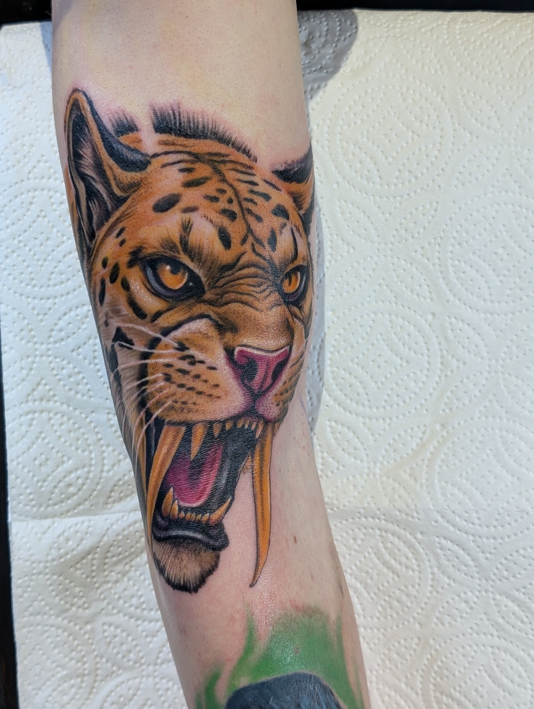 Sabertooth Leopard 2.jpg