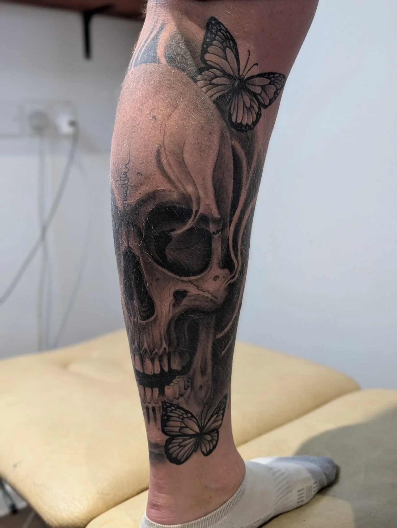 Calf Skull Butterfly 2.jpg