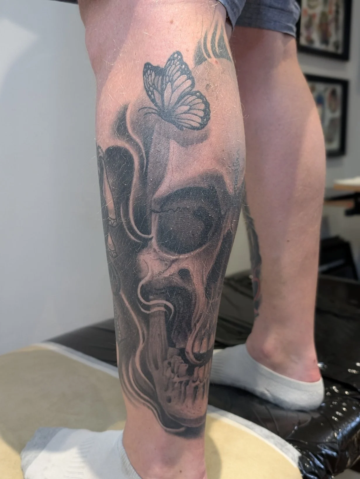 Calf Skull Butterfly 3.jpg