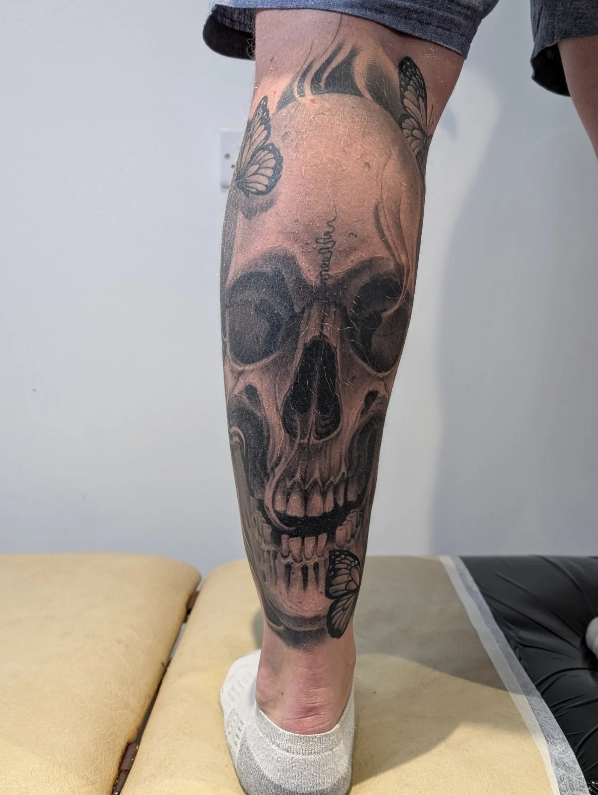 Calf Skull Butterfly 1.jpg
