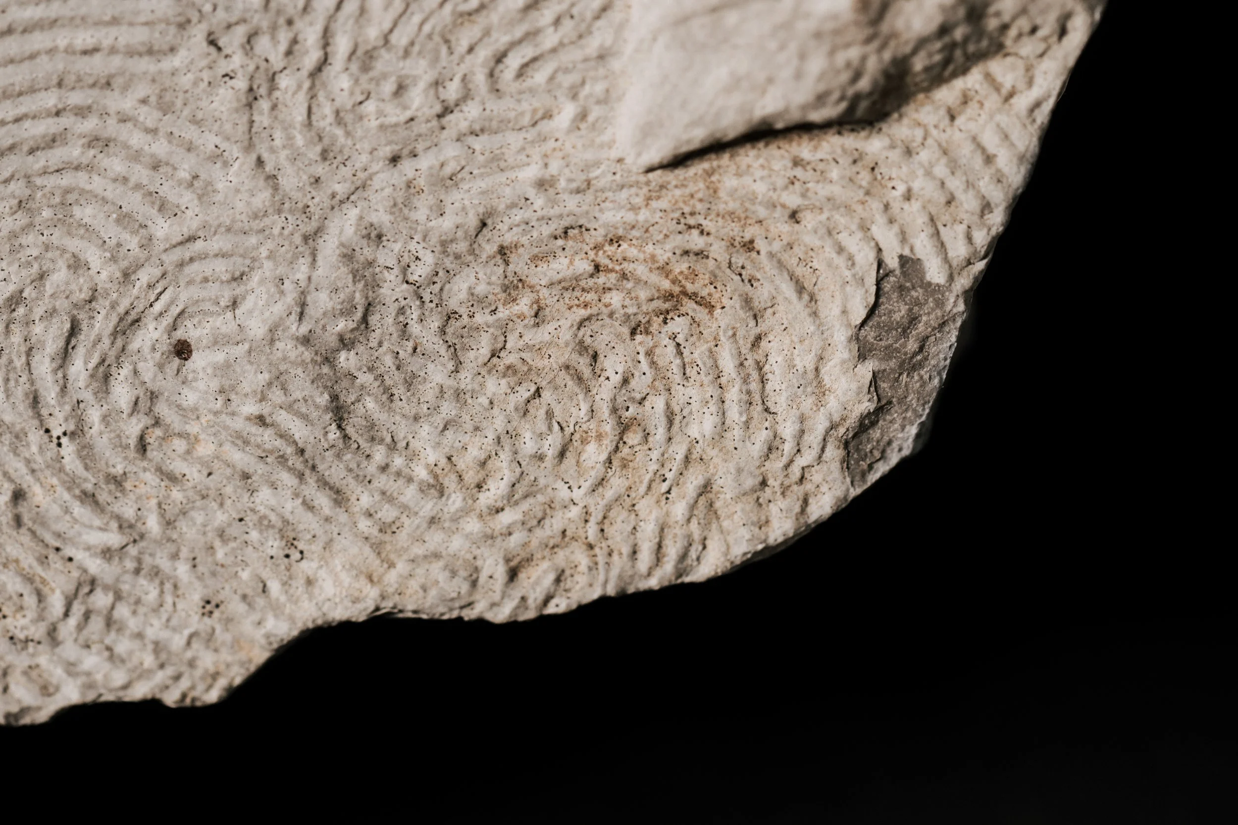 Photo © Giorgio Violino