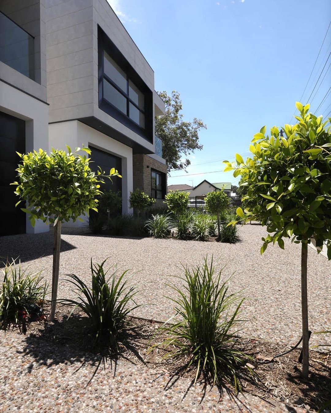 Modern house with landscaped front yard featuring small trees and decorative plants, under clear blue sky.