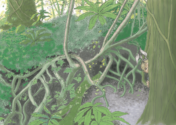 Back cover web.png